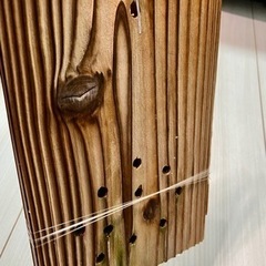 ビカクシダ　ウィリンキー×ビフルカツムの画像