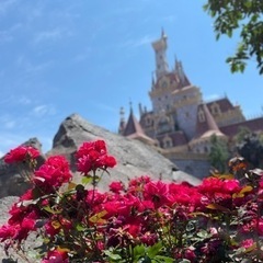 ディズニー好きの友達を作りたいです！