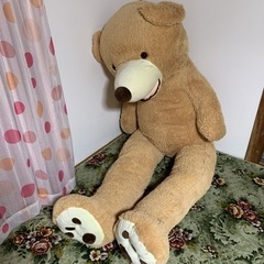 くまぬいぐるみ 特大