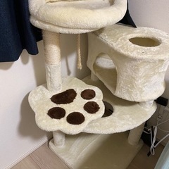 猫タワーの画像