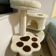 猫タワーの画像