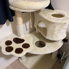 猫タワーの画像