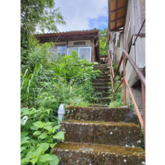 【30分／1袋1100円！】草むしり（45Lのゴミ袋使用）@熱海...