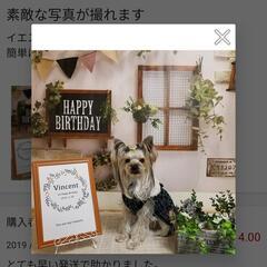 おうちがおしゃれなスタジオに変身するフォトポスター　中古or未使用の画像
