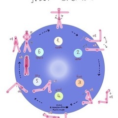 チベット体操　教室の画像