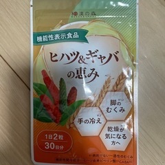 ヒハツ＆ギャバの恵み①