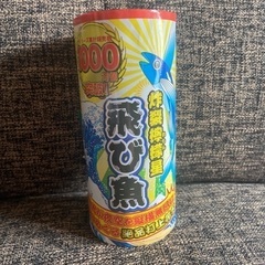 打ち上げ花火・手持ち花火セットの画像