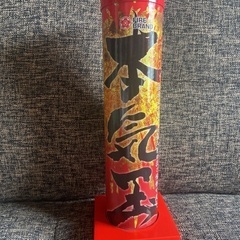 打ち上げ花火・手持ち花火セットの画像