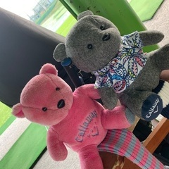 ゴルフ仲間募集⛳️