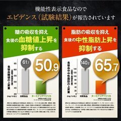 【機能性表示食品】糖や脂肪にターミナリア W (30日分 60粒) エキナセア 血糖値 や 中性脂肪の上昇を抑える ターミナリアベリリカ サラシアの画像