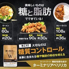 【機能性表示食品】糖や脂肪にターミナリア W (30日分 60粒) エキナセア 血糖値 や 中性脂肪の上昇を抑える ターミナリアベリリカ サラシアの画像