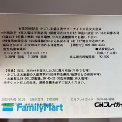 サマーナイトチケット2枚(自由/イス席)
