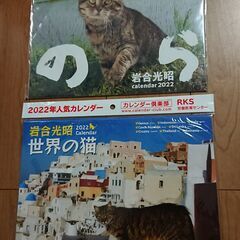新品 猫 壁掛け 2冊①