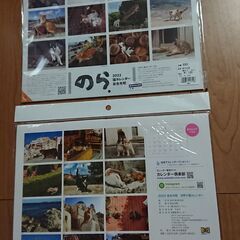 新品 猫 壁掛け 2冊①の画像