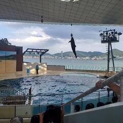 ラテンダブルスしませんか？