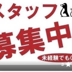 ポスティングで稼ぎませんか
