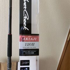 CSR ソヨン 限定チェキ サイン入り