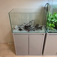 ほぼ新品60cm水槽セット(水槽、水槽台、ヒーター、ライト、おまけ)