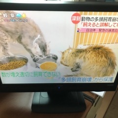 19インチテレビ　愛知県東郷より