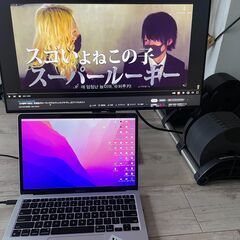 DELL U2419HC ハイエンドモニター フルHD USB C接続可能