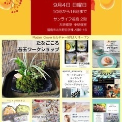 COMFORTABLE  FESTA   ver.6