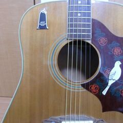ギブソン　コピー（DOVE）の画像