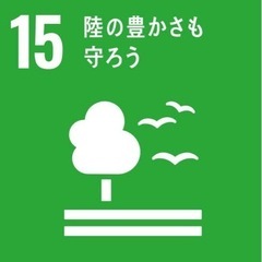 BBQに最適‼️ 岩手木炭 6kgの画像
