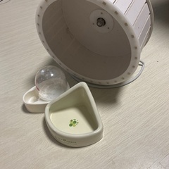 ハリネズミ　デグー　処分します‼️