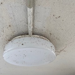 アパート、マンションの定期清掃