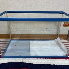 60センチガラス水槽　決定しました！