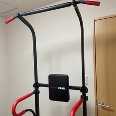 【本日限定値下げ】PYKES PEAK懸垂