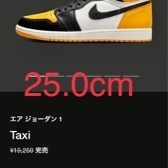 Nike Air Jordan 1 High OG \