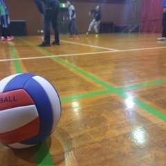 愉快なバレーボール