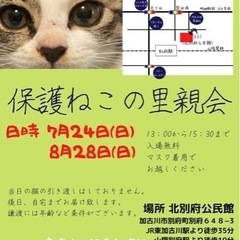 8/28 保護ねこの里親会