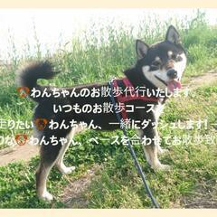 越谷ペットシッター『いつもぺっと』 - 越谷市