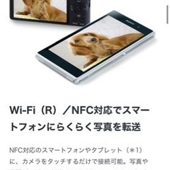 【値下げしました！】SONY デジタルスチルカメラ　DSC-WX350の画像