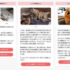 【事業主向け】売上が伸びる・資産になるホームページの作り方をアドバイスしますの画像