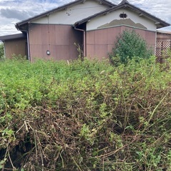 住んでいない空き家の調査、軽作業代行