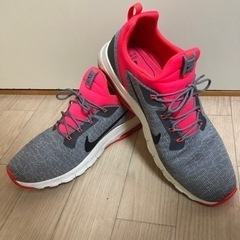 NIKE AIR MAX 31cmの画像