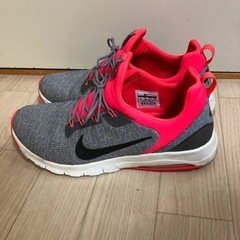 NIKE AIR MAX 31cmの画像