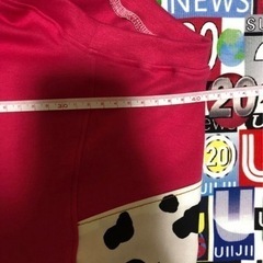 牛柄🐄大型犬　犬服の画像