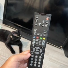 VIZIO 液晶テレビ　42インチ　vo420m-jの画像