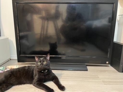 VIZIO 液晶テレビ　42インチ　vo420m-j