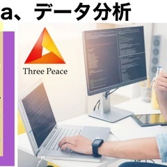 PG/SE【フルリモートワーク】Java,VBA:海運系物流計画...