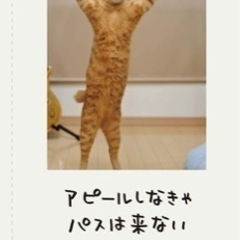 ☆人生はニャンとかなる！☆の画像