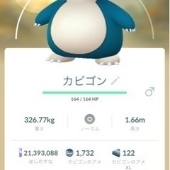 ポケモンgo 札幌　ゴーフェス　限定品の画像