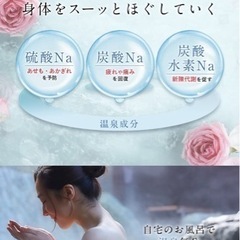 ⭐️フィスホワイト⭐️入浴剤 炭酸 医薬部外品 10回分 ギフトの画像