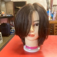 カットマネキン　女性