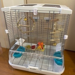 鳥カゴ、の画像