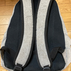 ロキシーザック　差し上げますの画像